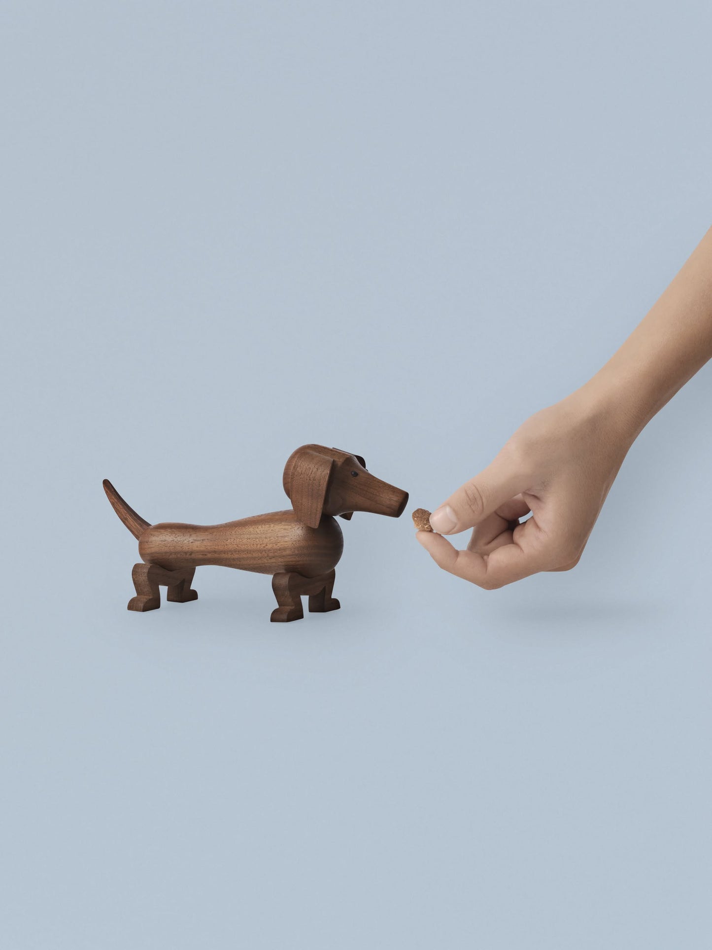 Dog Small
