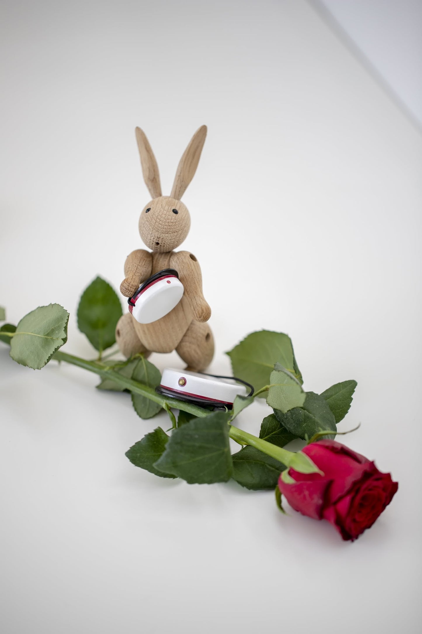 Rabbit Mini