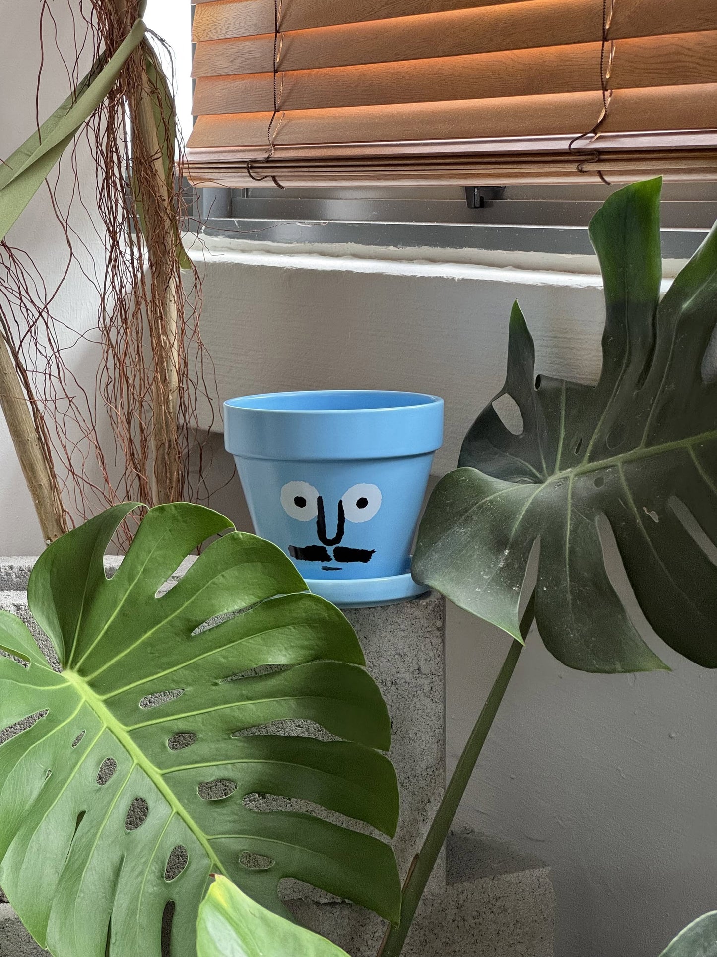 NouNou PotPot