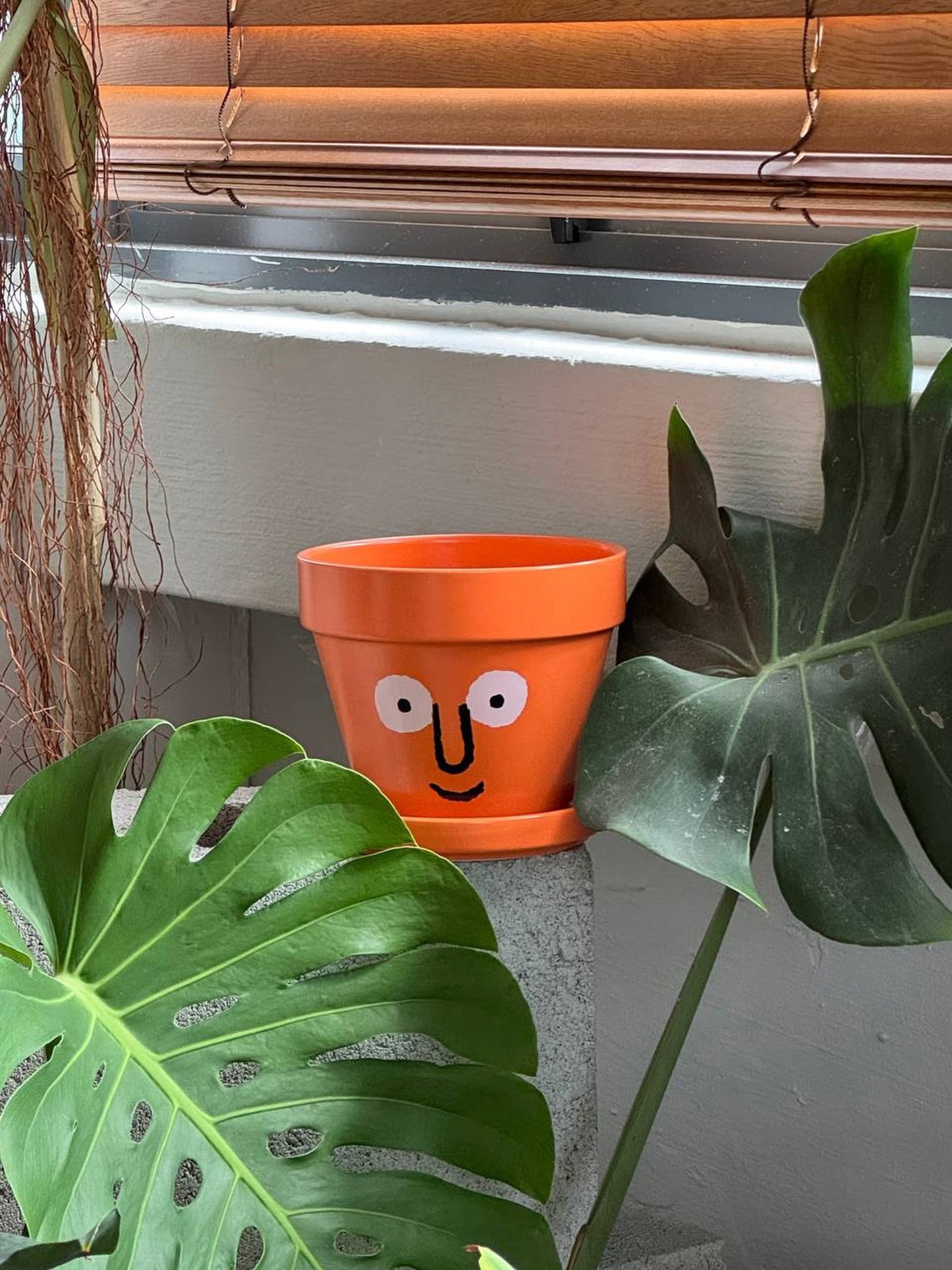 NouNou PotPot