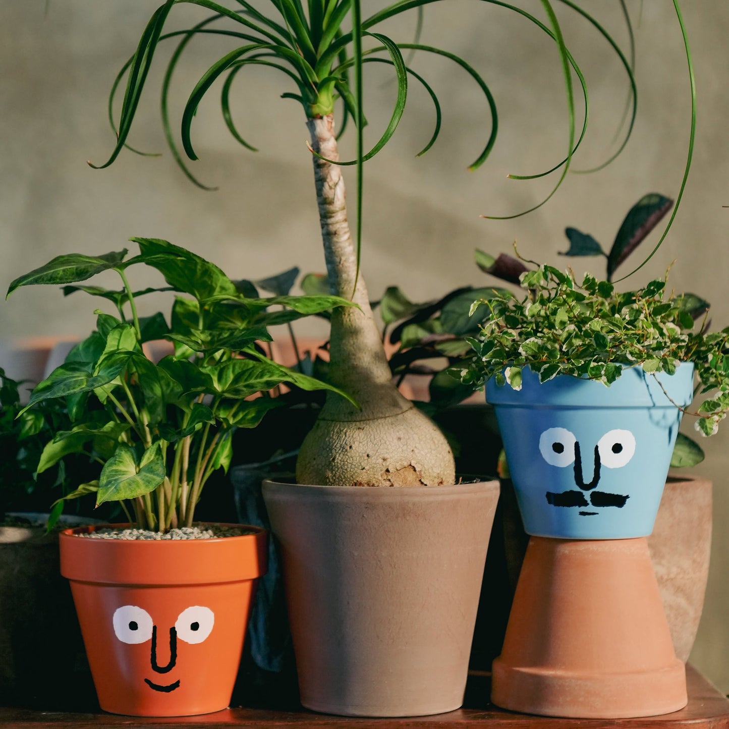 NouNou PotPot