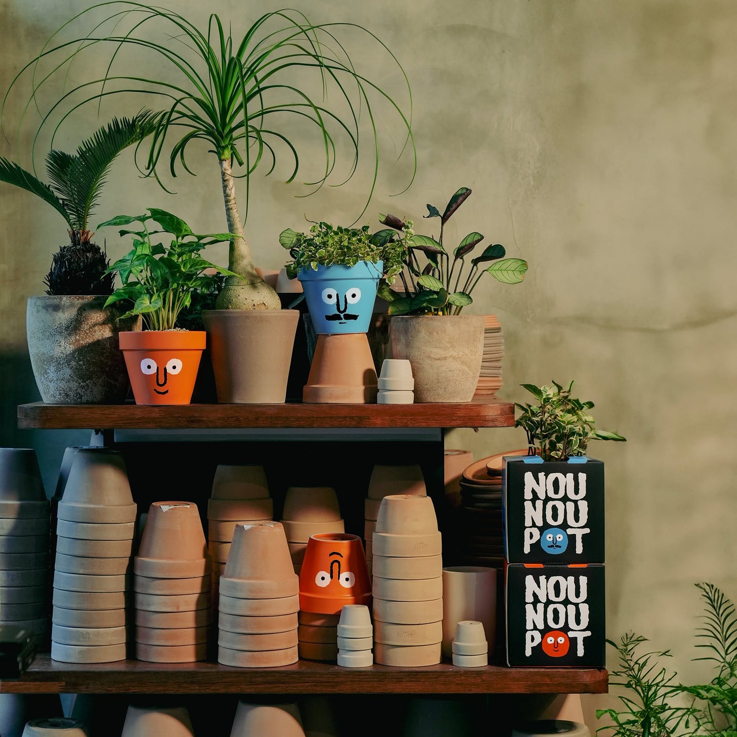 NouNou PotPot