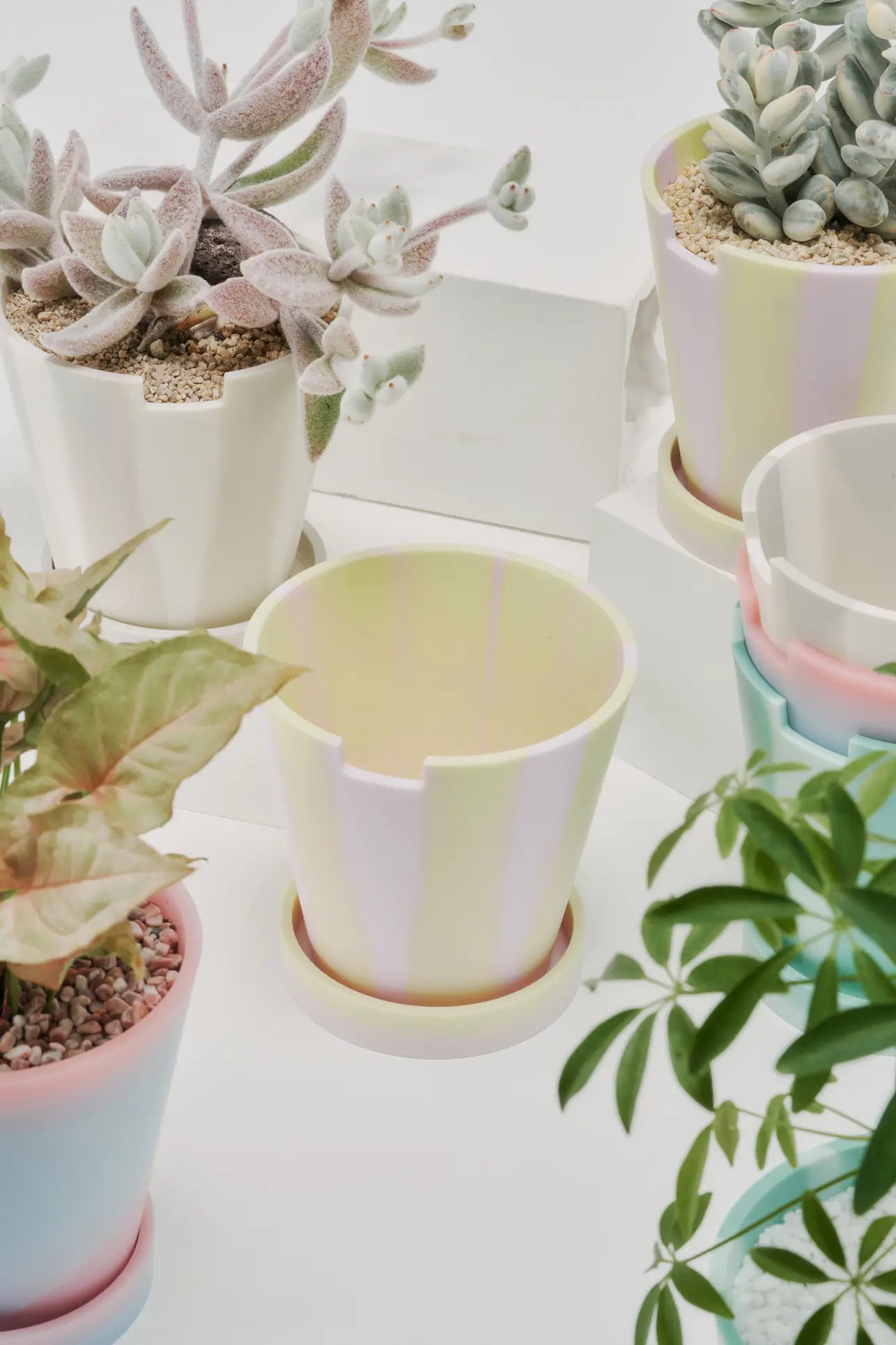 Plastic Ark Dirty Pot