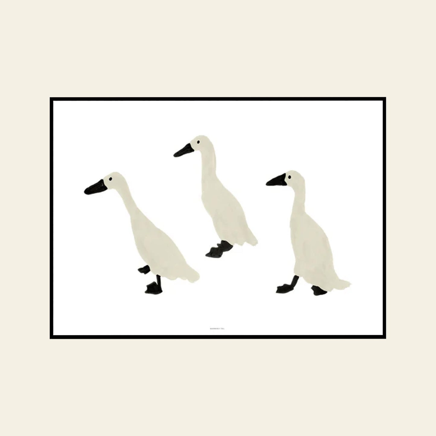 Indian Runner Ducks Poster (30x40)