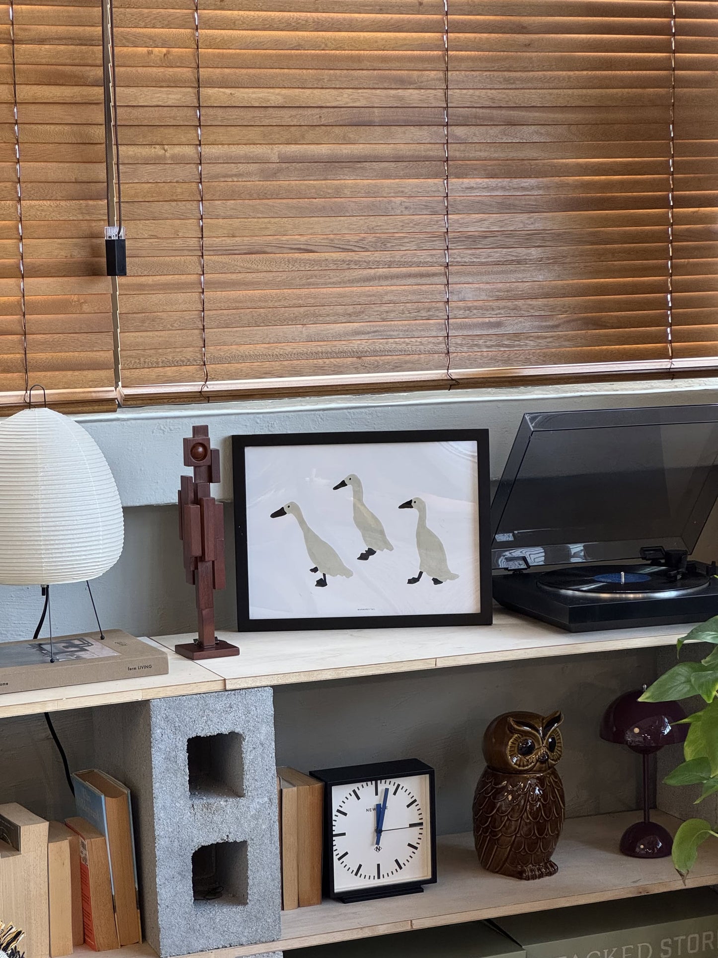 Indian Runner Ducks Poster (30x40)