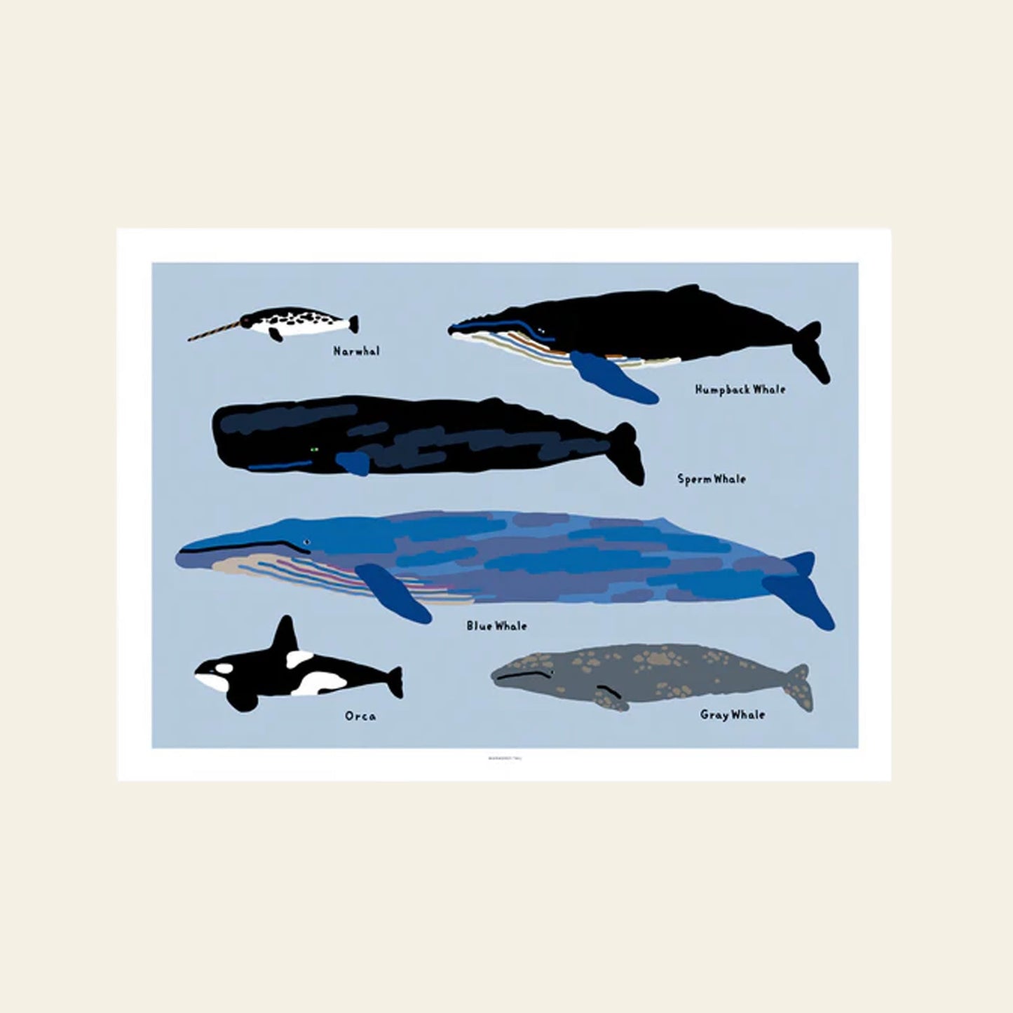 Whales Poster (30x40)