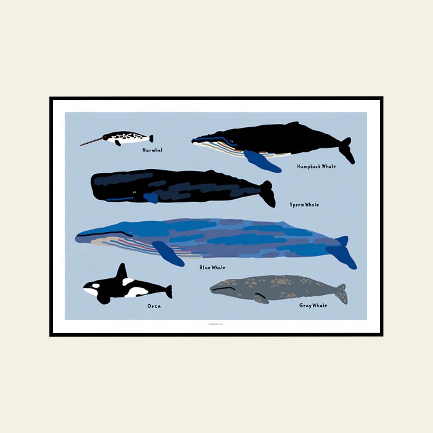 Whales Poster (30x40)