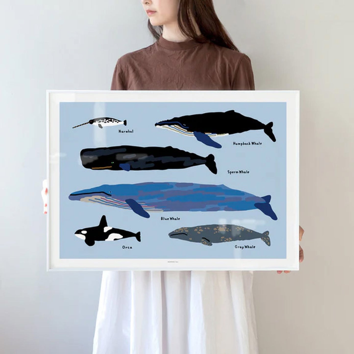 Whales Poster (30x40)