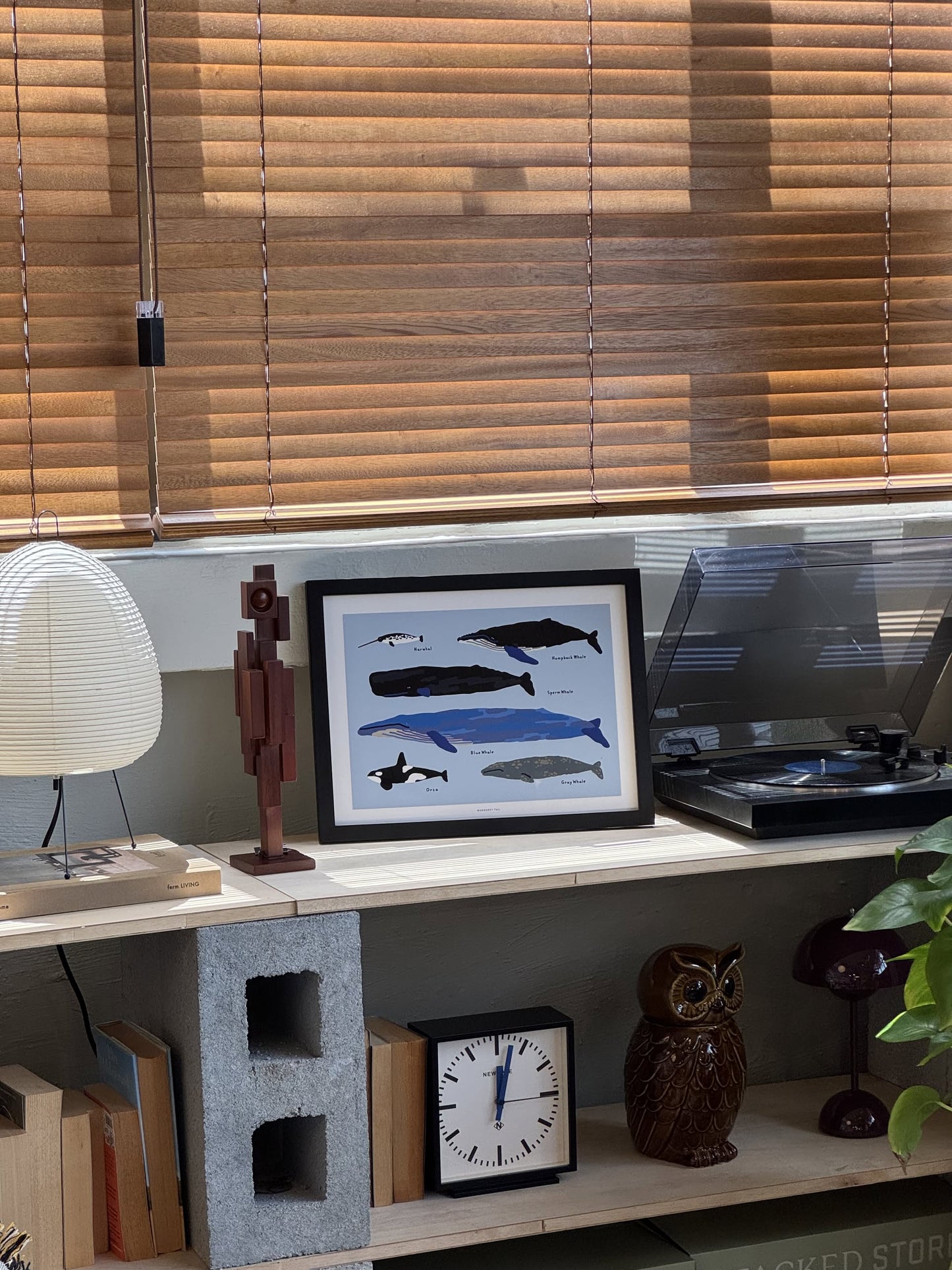 Whales Poster (30x40)