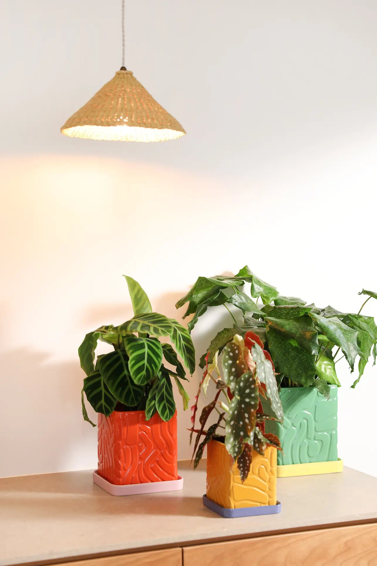 Tribe Planter (Green)