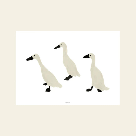 Indian Runner Ducks Poster (30x40)