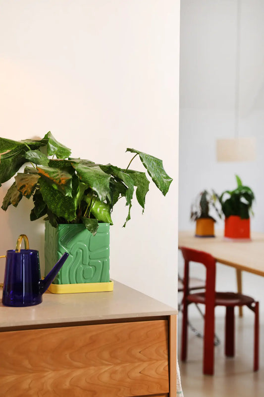 Tribe Planter (Green)